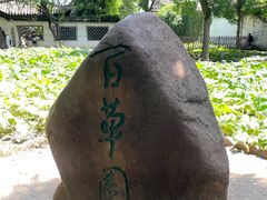 -绍兴鲁迅故里·沈园景区