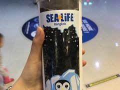 -暹罗海洋世界