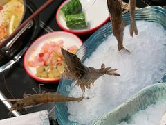 -乔先生涮肉·鲜活牛羊肉火锅(塘沽店)