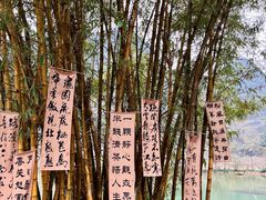 -靖西鹅泉风景区