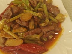 -圣厨牛腩(青春岛社区玉寿苑店)