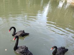 -天目湖涵田度假村