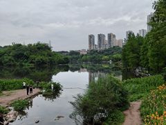-重庆彩云湖湿地公园