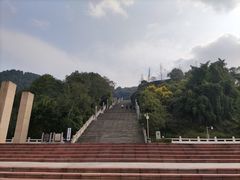 -铁山坪森林公园