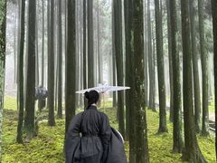 -玉苍山国家森林公园