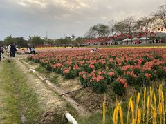 -盈香心动乐园