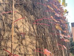 -半岛1919创意园区