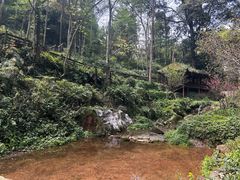 -青城山