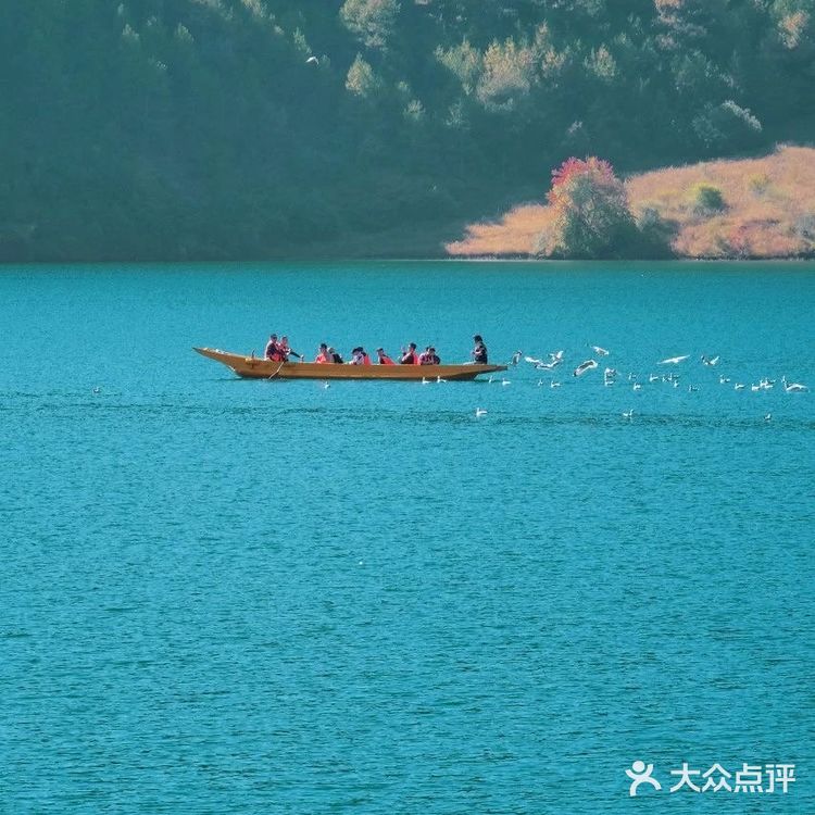 会把小白花送到离它根叶很远很远的地方