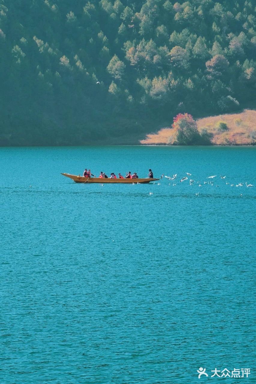 会把小白花送到离它根叶很远很远的地方