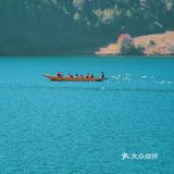 会把小白花送到离它根叶很远很远的地方