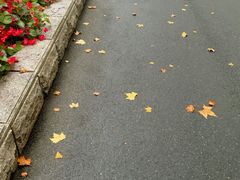 -三好坞景观餐厅