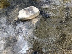 -碓臼峪自然风景区