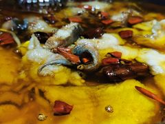 -雲蜀龙阁·金牌水煮鱼(方庄店)