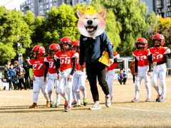 -黄龙魔方运动培训·棒球·橄榄球