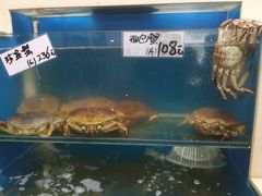 -胶东海鲜大排档(北太平庄店)