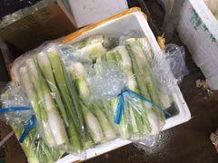 -济南海鲜大市场