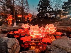 -趵突泉景区