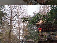 -黄龙溪古镇