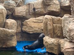 -华夏文旅海洋公园