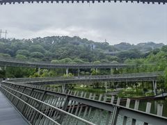 -福道