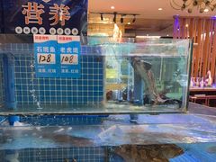 -同喜烤鸭店(光芒店)