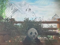 -西霞口神雕山野生动物世界