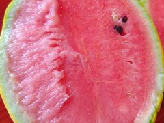 -兴芮温泉度假区