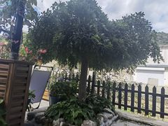 -京北渔家傲