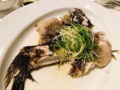 清蒸笋壳鱼-宝丽轩中餐厅BAOLIXUAN