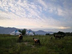 -敕勒川草原文化旅游区