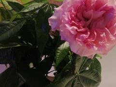 -观宴·品质赣菜(高新大道店)