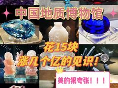 -中国地质博物馆