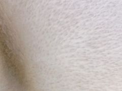 -彼德西餐厅(凯德广场新南店)