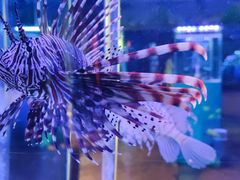 -荆州中山公园动物园