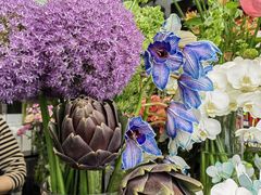 -FEI FEI FLOWER鲜花店·气球派对·宝宝宴布置(虹口德必运动Loft店)