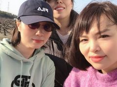 -樂桃源奉贤黄桃种植采摘基地
