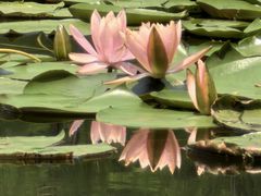 -白鹭湾湿地公园