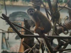 -西安秦岭野生动物园