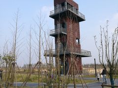 -春花秋色城市公园