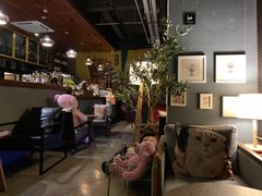 -咖法森林·咖啡  酒吧(天河店)