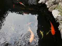 -鲤院·新中式美学·庭院餐厅(夫子庙店)