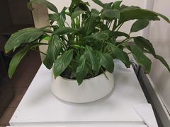 -中田健身工作室(东园店)
