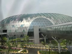 -樟宜机场免税店