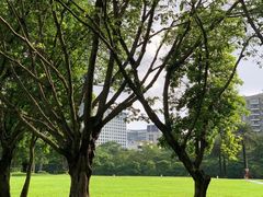 -荔香公园