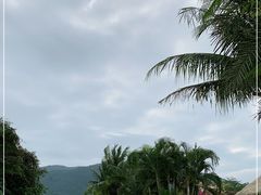 -亚龙湾国际玫瑰谷