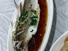 -小六农家乐(崇明西沙湿地店)