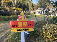 -金鸡湖桃花岛