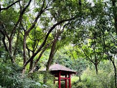 -深圳国际园林花卉博览园