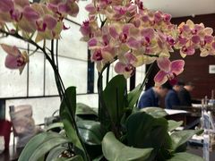 -广州天河合景福朋喜来登酒店